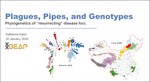 Plagues, Pipes, and Genotypes