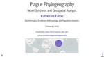 Plague Phylogeography: Novel Synthesis and Geospatial Analysis